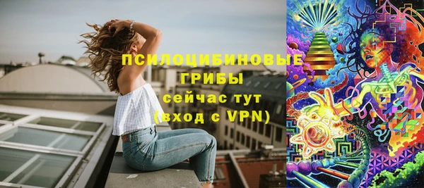 спайс Арсеньев