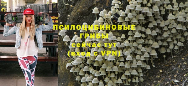 винт Аркадак